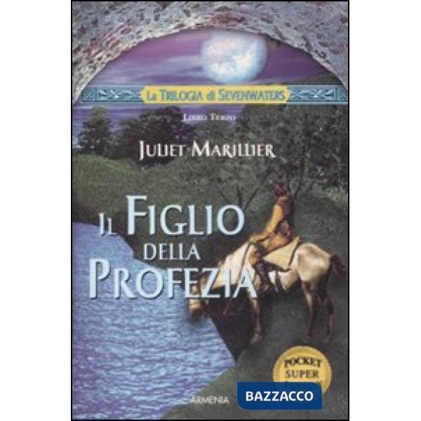 Figlio della profezia. La trilogia di Sevenwaters (Il). Vol. 3