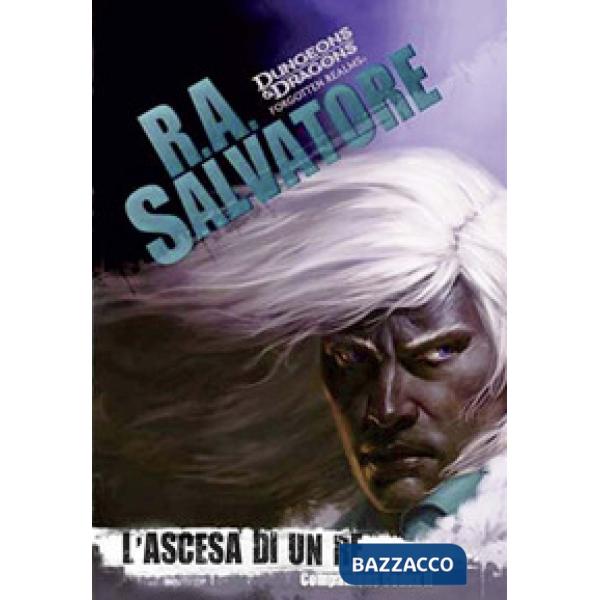 Ascesa di un re. Companion codex (L'). Vol. 2: La leggenda di Drizzt 29