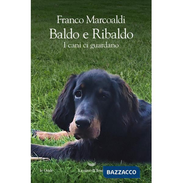 Baldo e Ribaldo. I cani ci guardano