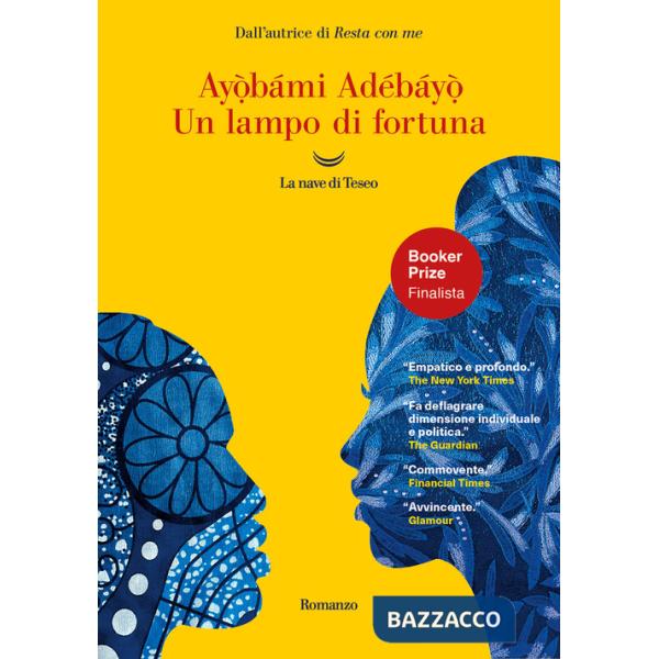 Lampo di fortuna (Un)