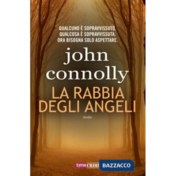 Rabbia degli angeli (La)