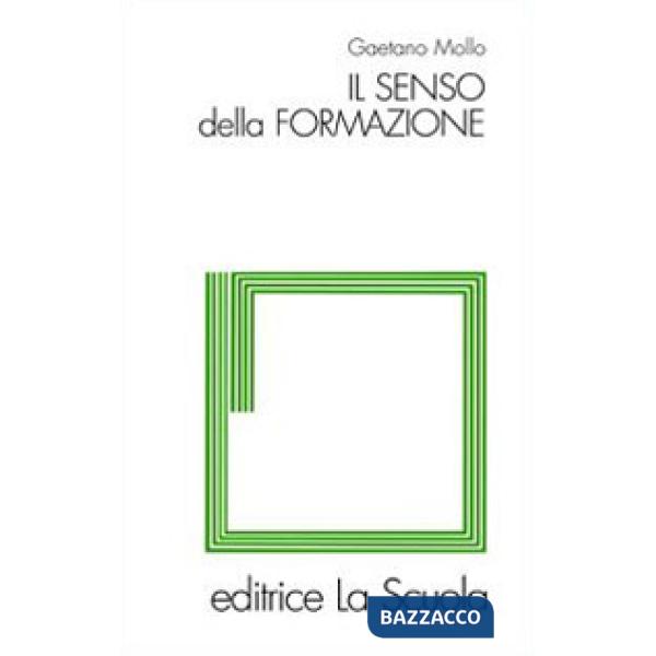 Senso della formazione (Il)