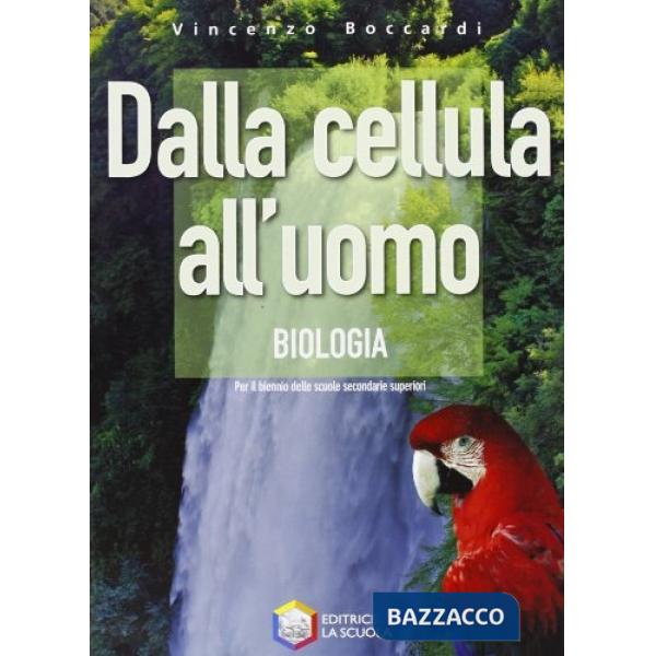 DALLA CELLULA ALLUOMO