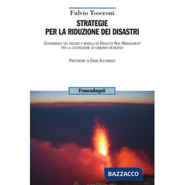 Strategie per la riduzione dei disastri. Governance del rischio e modelli di Disaster Risk Management per la costruzione di comu