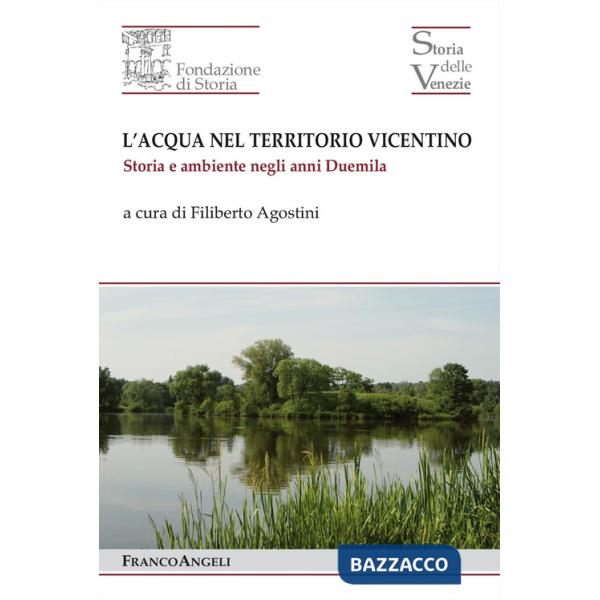 Acqua nel territorio vicentino. Storia e ambiente negli anni Duemila (L')