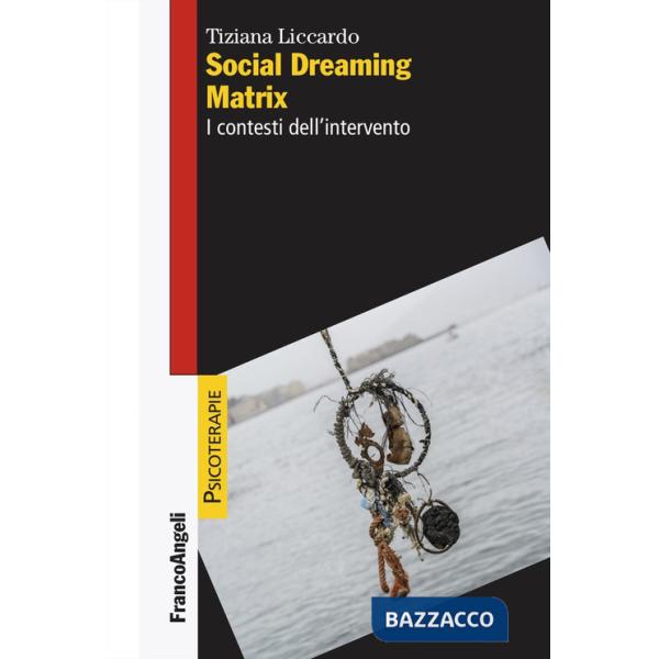 Social dreaming matrix. I contesti dell'intervento
