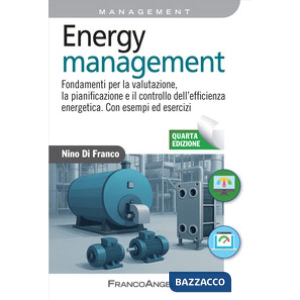 Energy management. Fondamenti per la valutazione, la pianificazione e il controllo dell'efficienza energetica. Con esempi ed ese