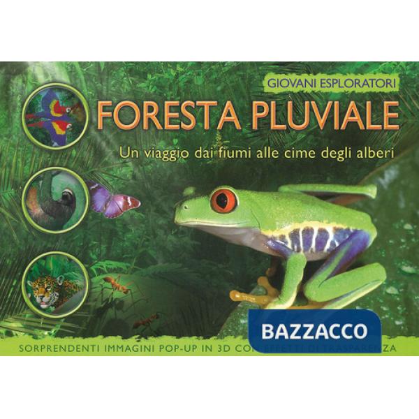 Foresta pluviale. Un viaggio dai fiume alle cime degli alberi. Ediz. a colori (La)