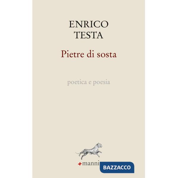 Pietre di sosta. Poetica e poesia