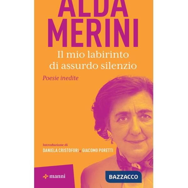 Mio labirinto di assurdo silenzio (Il)