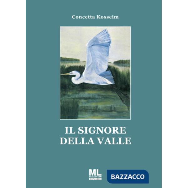 Signore della valle (Il)