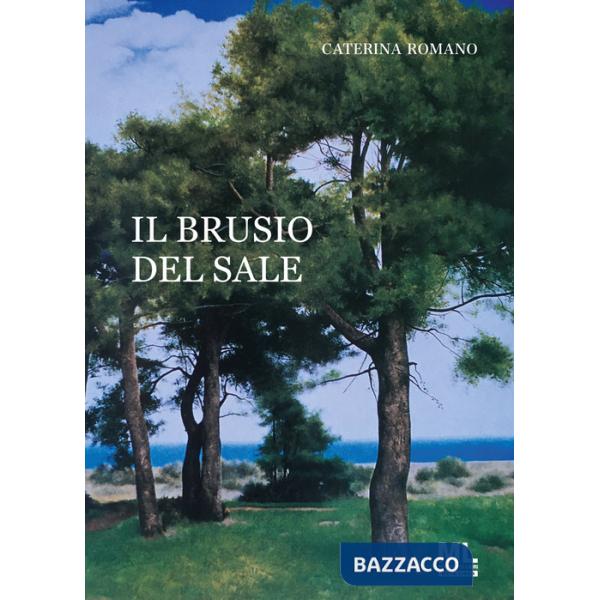 Brusio del sale. Con Meta Liber© (Il)