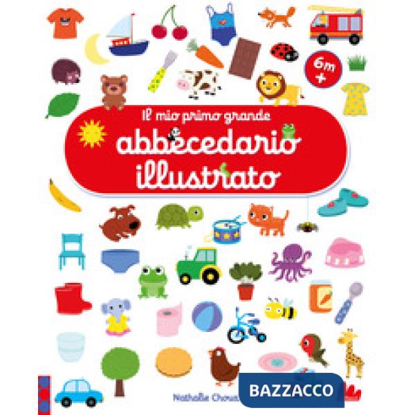 Mio primo grande abbecedario illustrato. Ediz. a colori (Il)