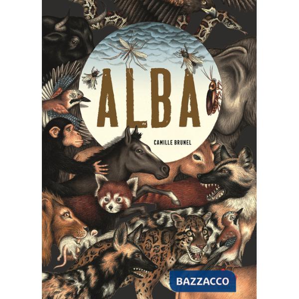 Alba