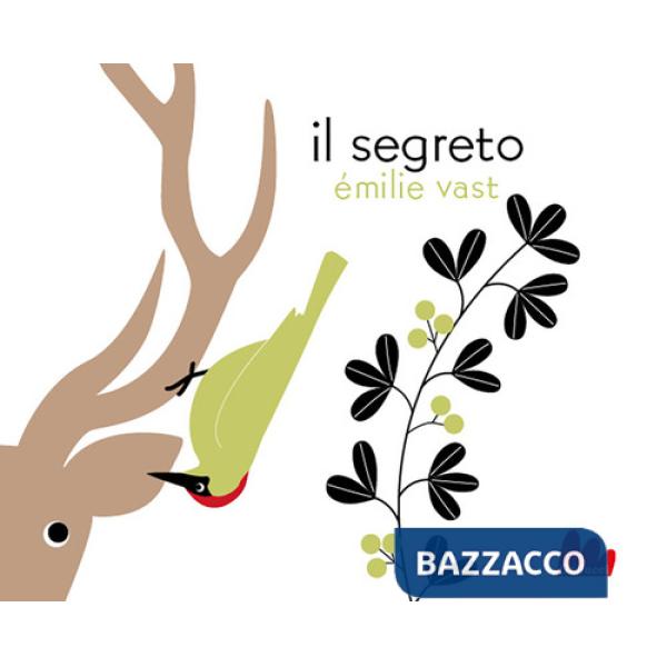 Segreto. Ediz. a colori (Il)