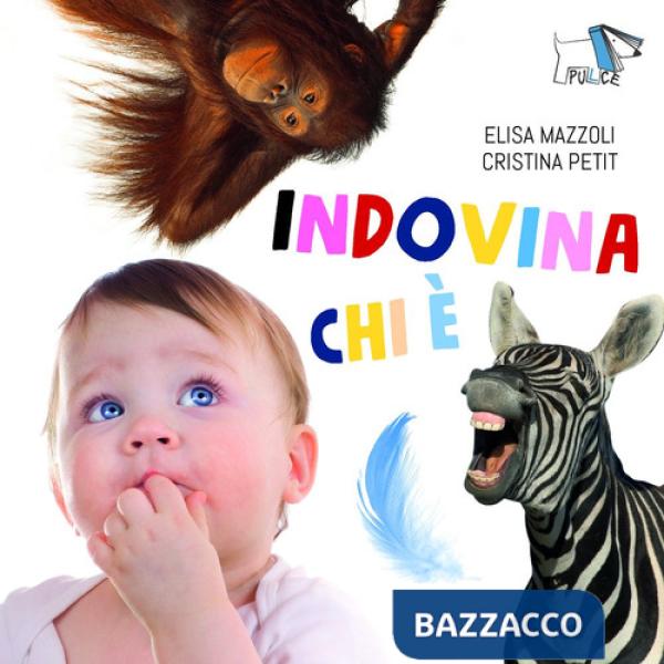 Indovina chi è. Ediz. a colori