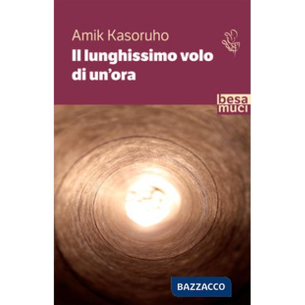 Lunghissimo volo di un'ora (Il)