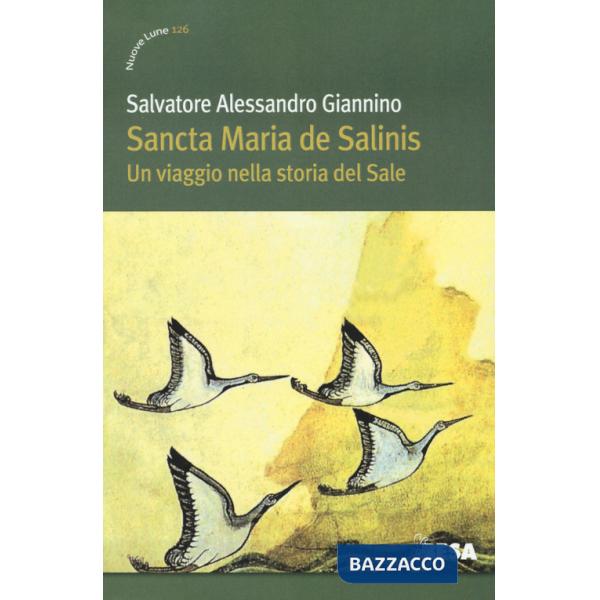 Sancta Maria de Salinis. Un viaggio nella storia del Sale