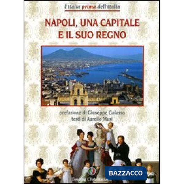 Napoli, una capitale e il suo regno. Ediz. illustrata