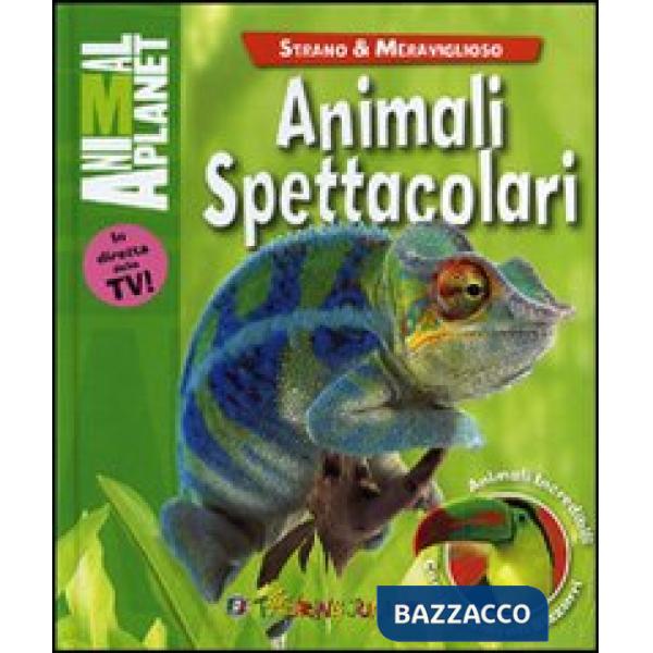 Animali spettacolari