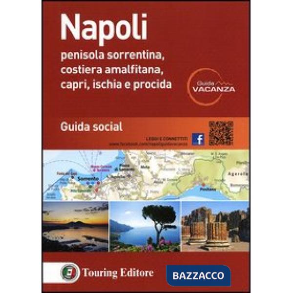 Napoli. Penisola sorrentina, costiera amalfitana, Capri, Ischia e Procida. Guida