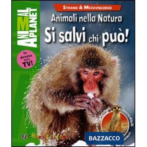 Animali nella natura. Si salvi chi può!