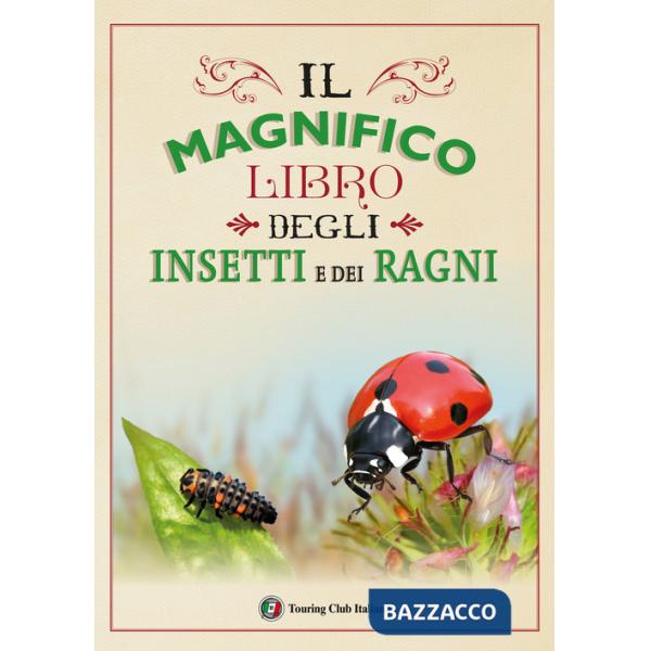 Magnifico libro degli insetti e dei ragni. Ediz. a colori (Il)