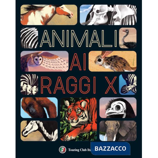 Animali ai raggi X