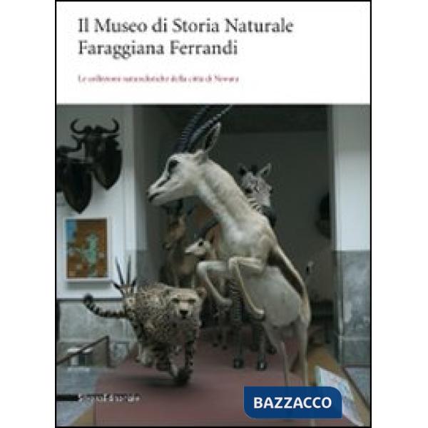 Museo di storia naturale Faraggiana Ferrandi. Le collezioni naturalistiche della