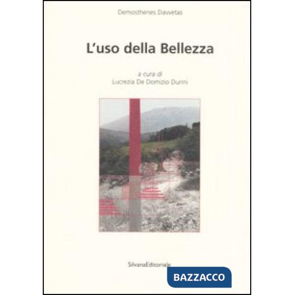 Uso della bellezza (L')