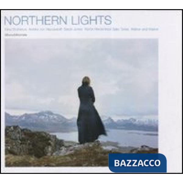 Northern lights. Reflecting with images. Catalogo della mostra (Modena, 27 genna