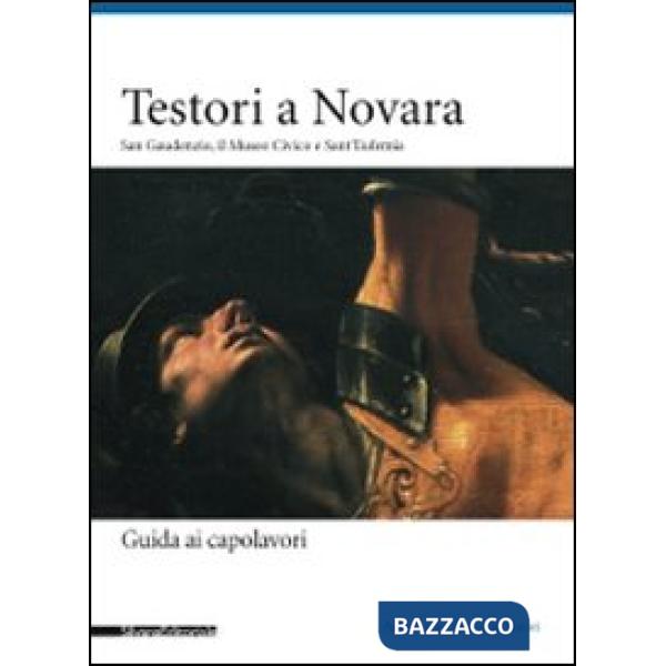 Testori a Novara. San Gaudenzio, il museo civico e sant'Eufemia. Ediz. illustrat