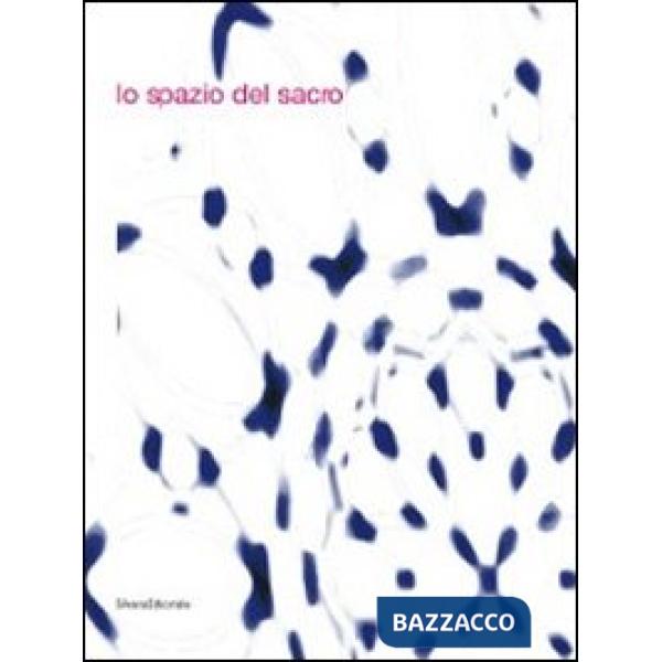 Spazio del sacro. Catalogo della mostra (Modena, 5 dicembre 2010-6 marzo 2011). 