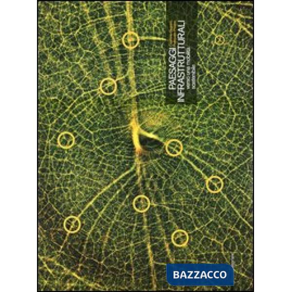 Paesaggi infrastrutturali verso una mobilità sostenibile. Ediz. italiana e ingle