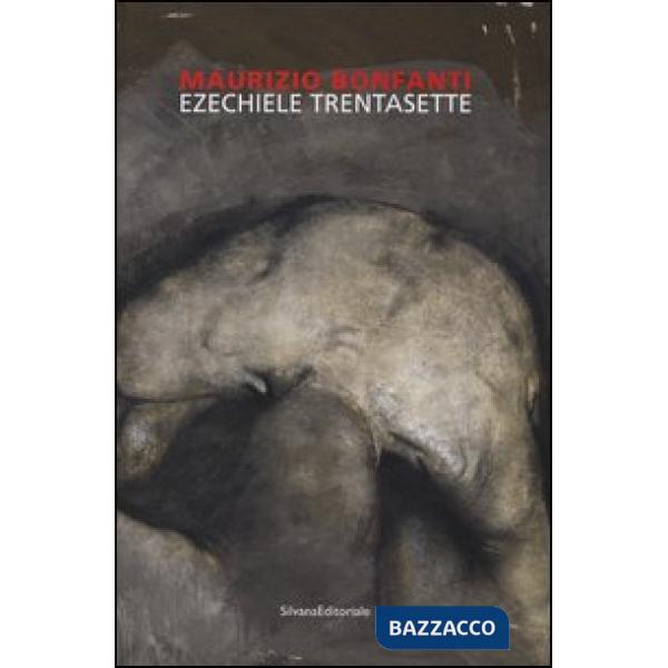 Maurizio Bonfanti. Ezechiele Trentasette. Catalogo della mostra (Bergamo, 25 nov