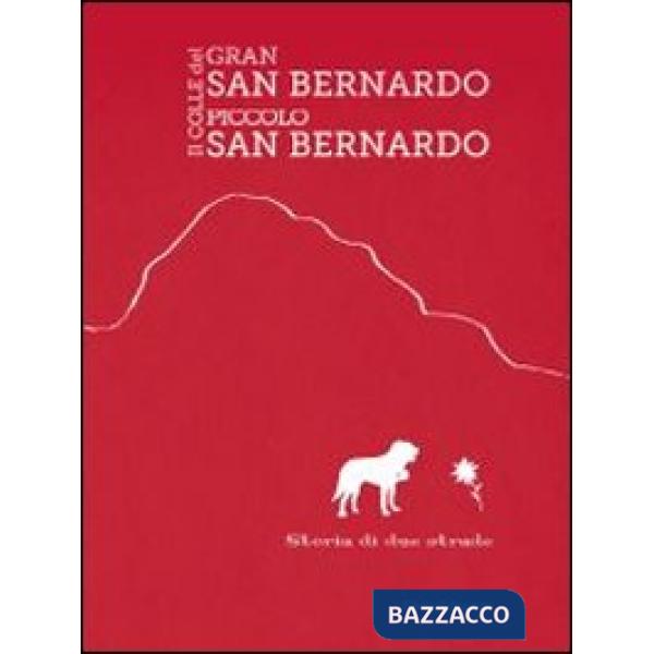 Colle del Gran San Bernardo-Il colle del Piccolo San Bernardo (Il)