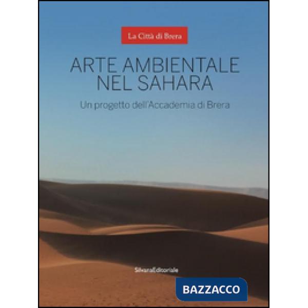 Arte ambientale nel Sahara. Un progetto dell'Accademia di Brera. Ediz. illustrata