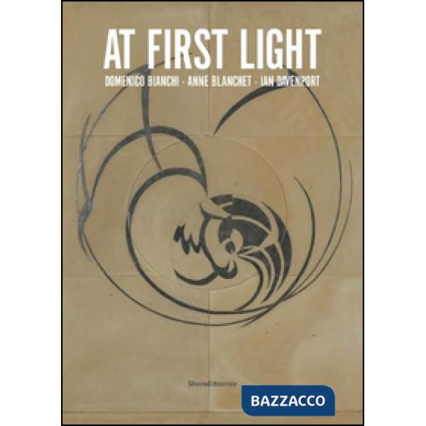 At first light. Domenico Bianchi, Anne Blanchet, Ian Davenport. Catalogo della m