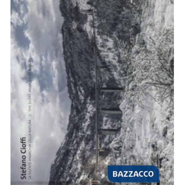 Stefano Cioffi. La silente anarchia della natura. Ediz. italiana e inglese