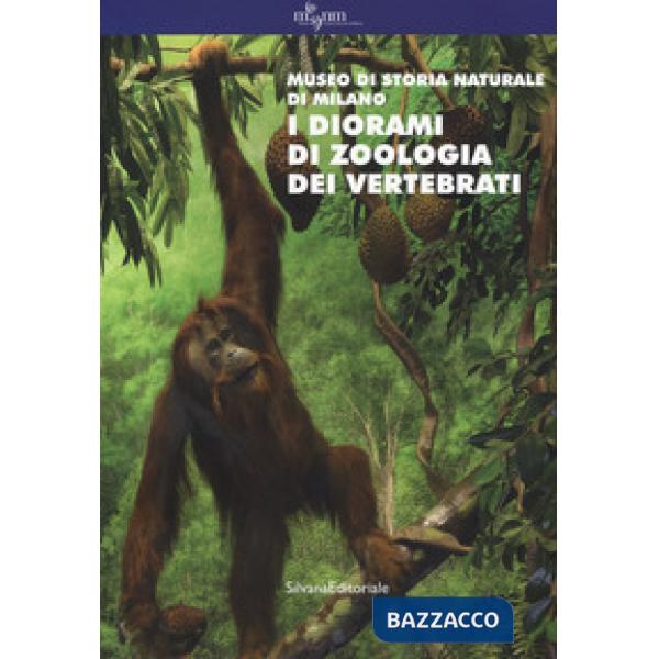 Diorami di zoologia dei vertebrati. Museo di storia naturale di Milano. Ediz. a 