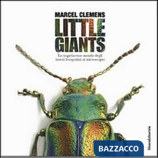 Little giants. Lo stupefacente mondo degli insetti