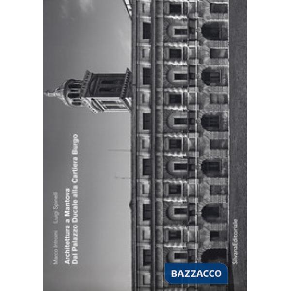 Architettura a Mantova. Dal Palazzo Ducale alla Cartiera Burgo. Ediz. a colori