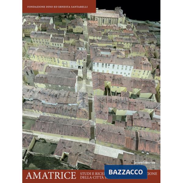 Amatrice. Studi e ricerche per la ricostruzione della città storica