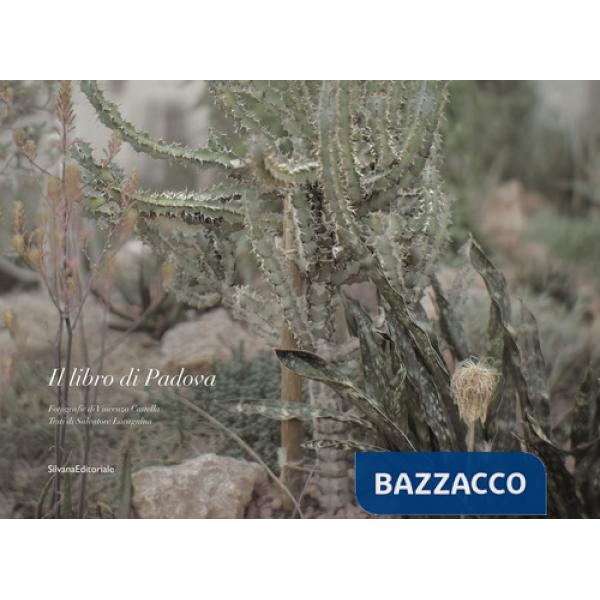 Libro di Padova. Ediz. italiana e francese (Il)