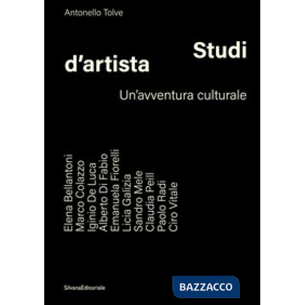 Studi d'artista. Un'avventura culturale. Ediz. illustrata