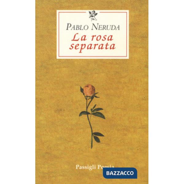 Rosa separata (La)