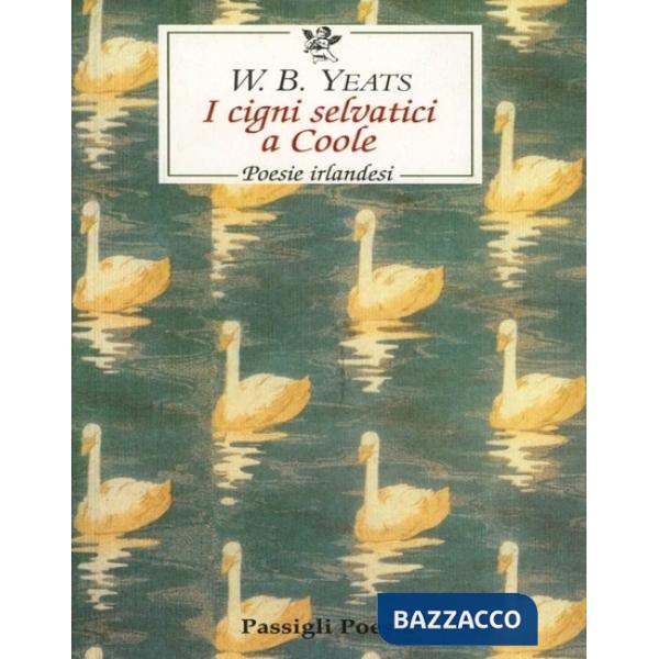 Cigni selvatici di Coole (I)
