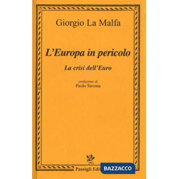 Europa in pericolo. La crisi dell'euro (L')