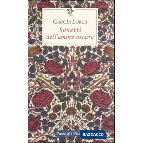 Sonetti dell'amore oscuro. Testo spagnolo a fronte