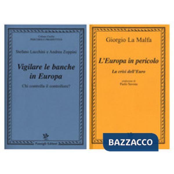 Europa in pericolo. La crisi dell'euro-Vigilare le banche in Europa. Chi controlla il controllore? (L')